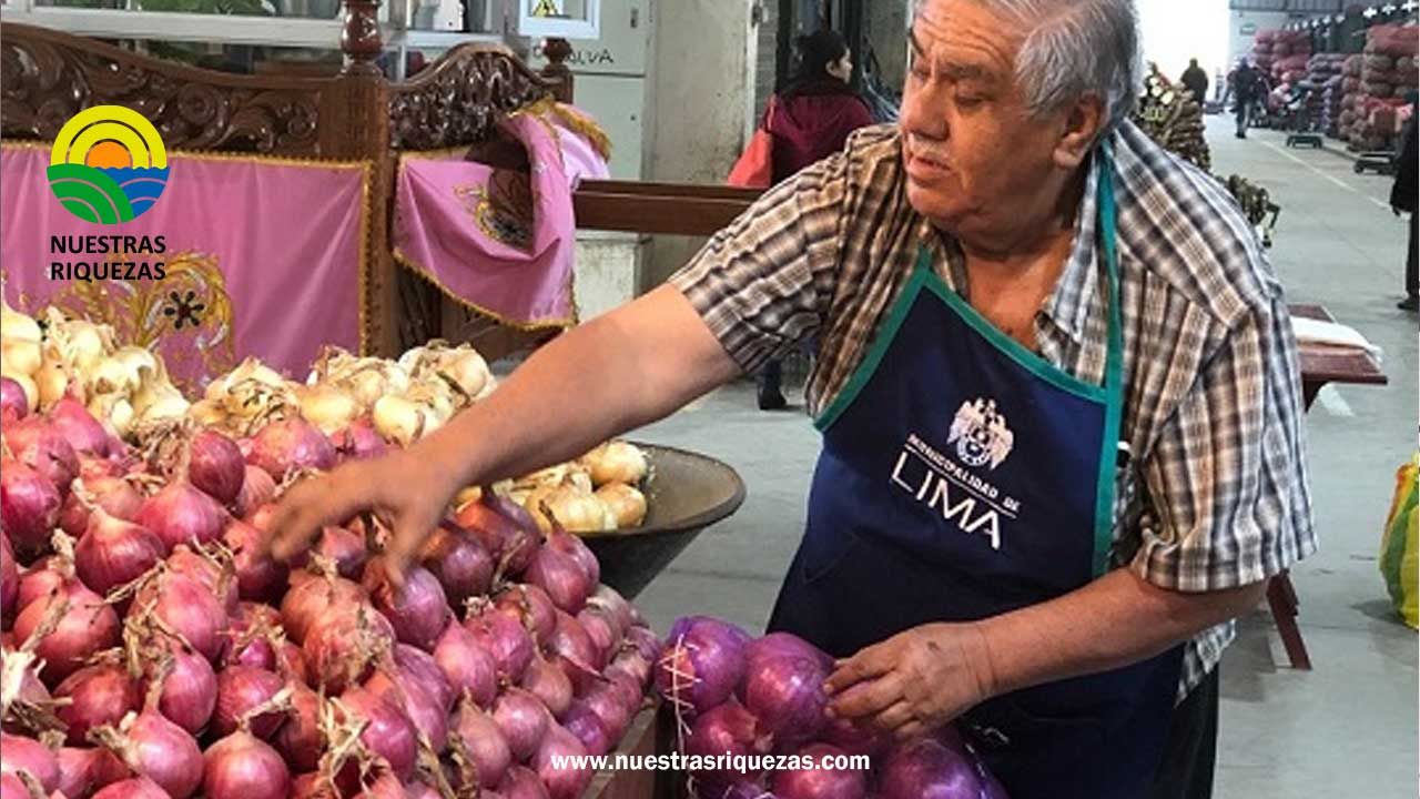 Perú exportó cebolla en fresco por US$ 17.8 millones en el primer trimestre de 2023