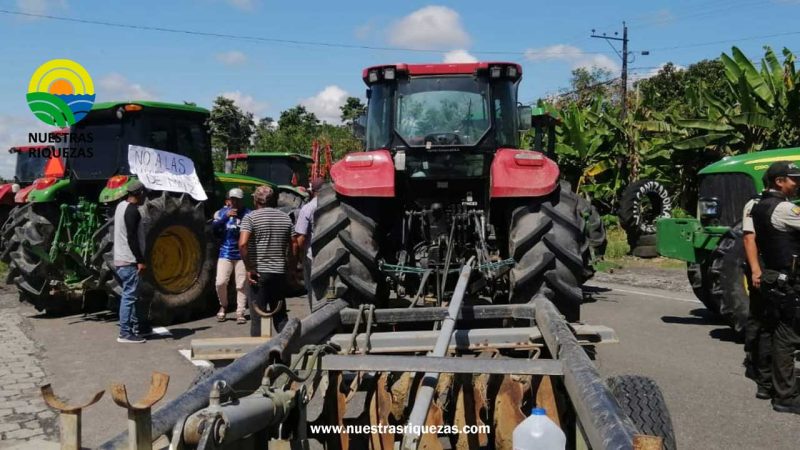 Sector maicero logra reunión con el MAG para fijar precios