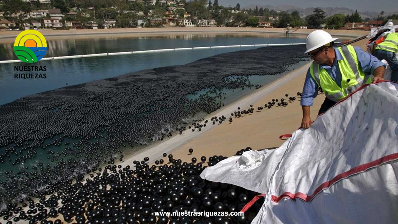 Un millón de bolas negras contra la sequía