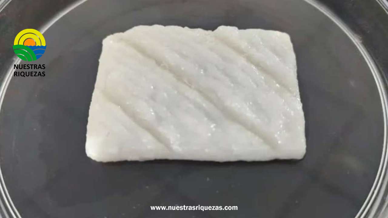 Científicos chinos imprimen en 3D filetes de pescado comestibles