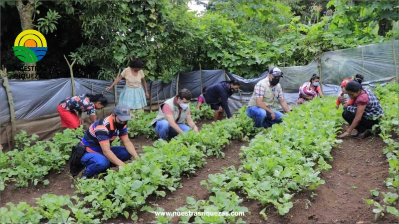 MAG se refirió al plantón de los bananeros
