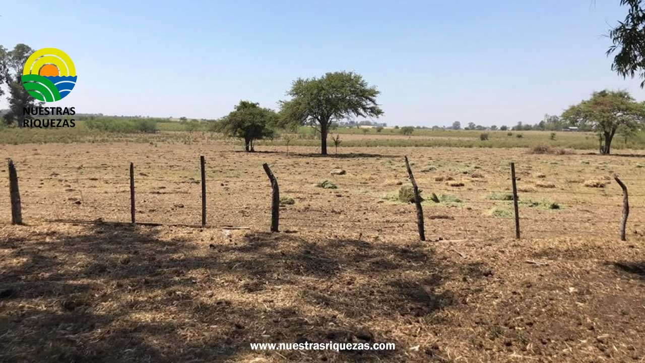 En España realizan experiencias para adaptar la agricultura a un futuro más seco