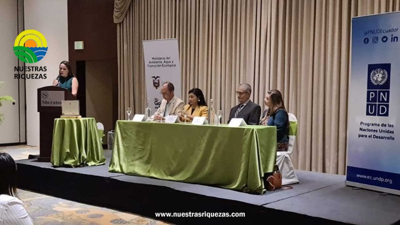 Reconocimiento Punto Verde