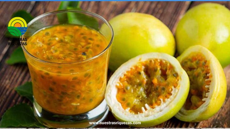 Perú exportó pulpa de maracuyá por US$ 2.2 millones entre enero y abril de 2023