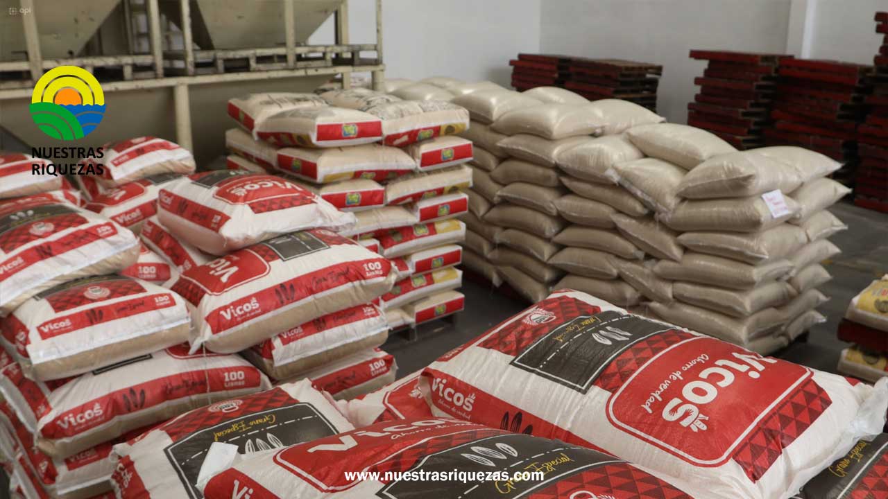 Agricultores presentan acción de protección para evitar importación de arroz