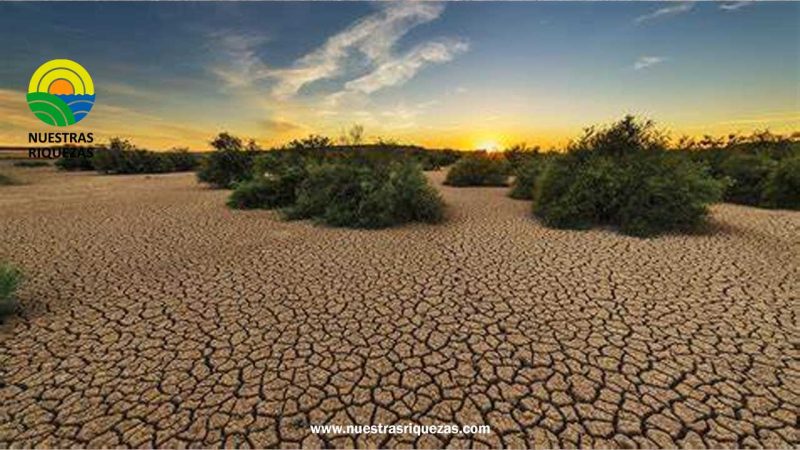 Desertificación en España: el mal uso de los recursos naturales como principal causa