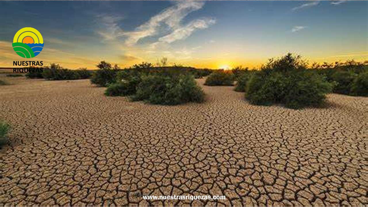 Desertificación en España: el mal uso de los recursos naturales como principal causa