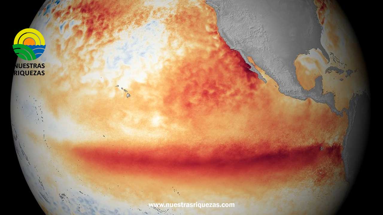 El regreso de El Niño: Preocupaciones climáticas aumentan en la primavera