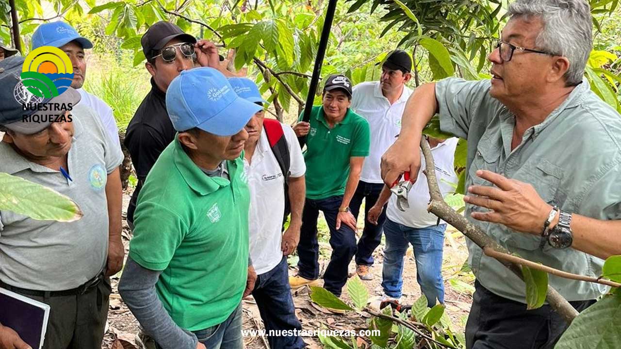 Exitosa gira agronómica del Instituto Nacional de Investigaciones Agropecuarias impulsa el potencial del cacao en Macará y Zapotillo