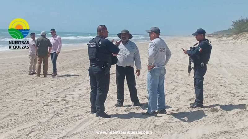 Guardia Estatal vigila campamento tortuguero en La Pesca para proteger especie endémica
