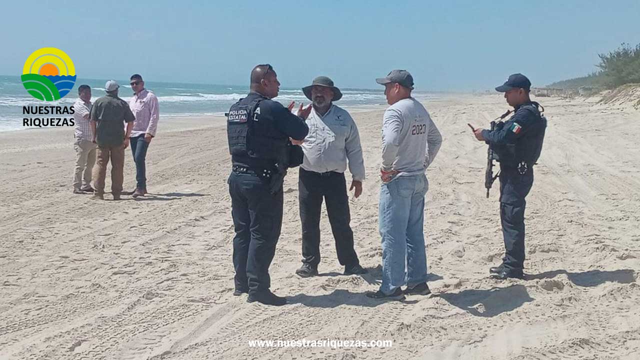 Guardia Estatal vigila campamento tortuguero en La Pesca para proteger especie endémica