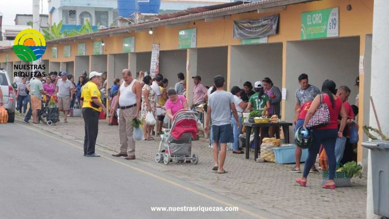 La Gran Feria Orgánica cambia su horario para satisfacer a los consumidores y promover la salud”