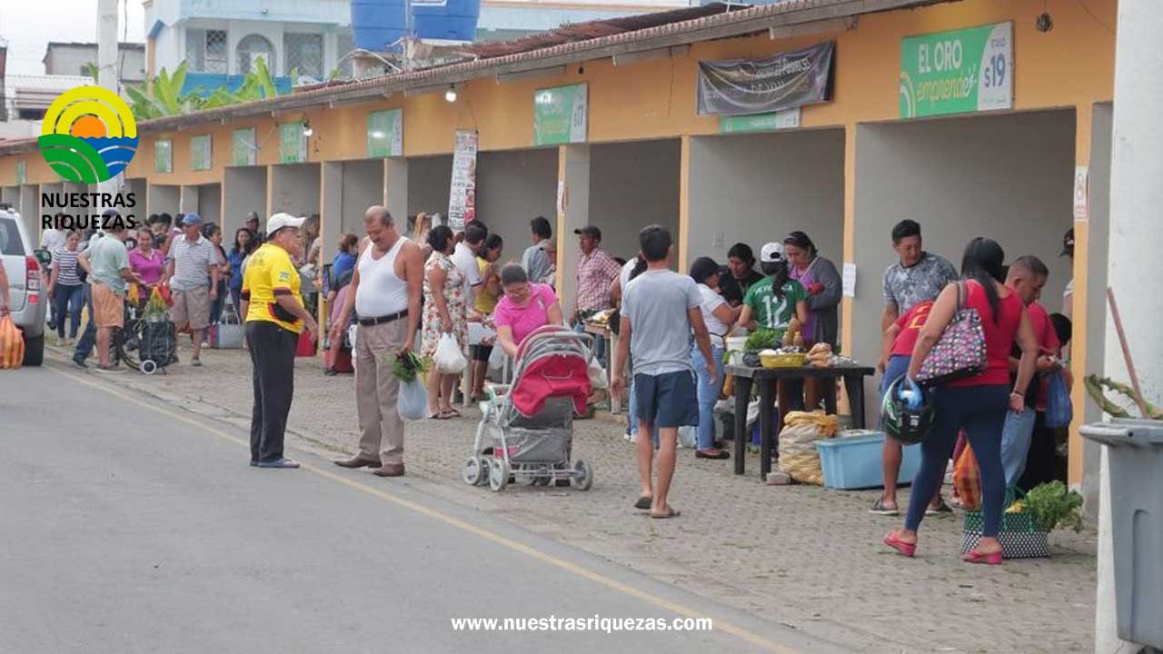 La Gran Feria Orgánica cambia su horario para satisfacer a los consumidores y promover la salud”