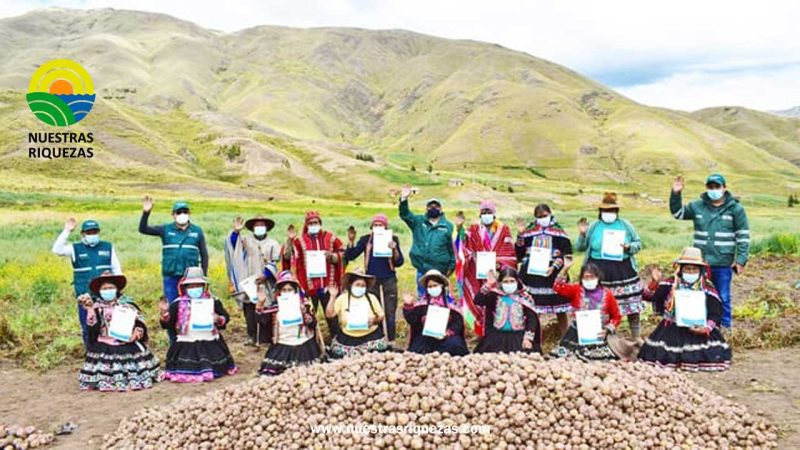 MIDAGRI despliega acciones fitosanitarias en resguardo de tres mil variedades de papa