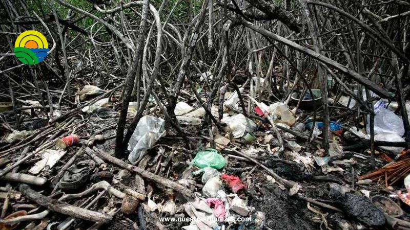 6.000 pescadores artesanales del Golfo de Guayaquil recolectan plástico para proteger el manglar