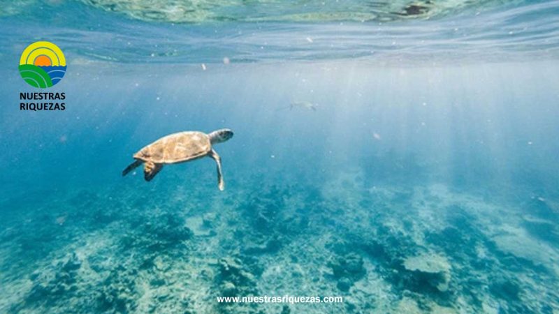 Banco Bolivariano de Ecuador emite bono azul con incentivos al cumplimiento