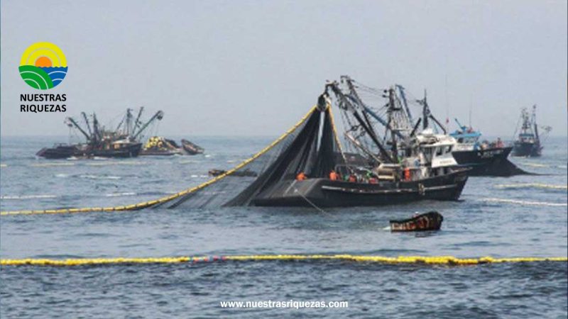 Cambio climático afecta la pesca en Ecuador: escasez de peces y retraso en las capturas