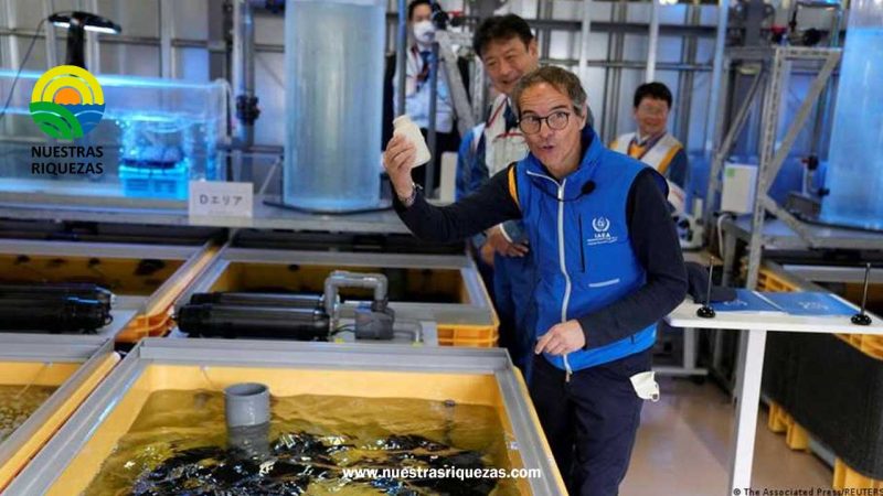 China prohibirá importaciones de productos alimentarios de Fukushima