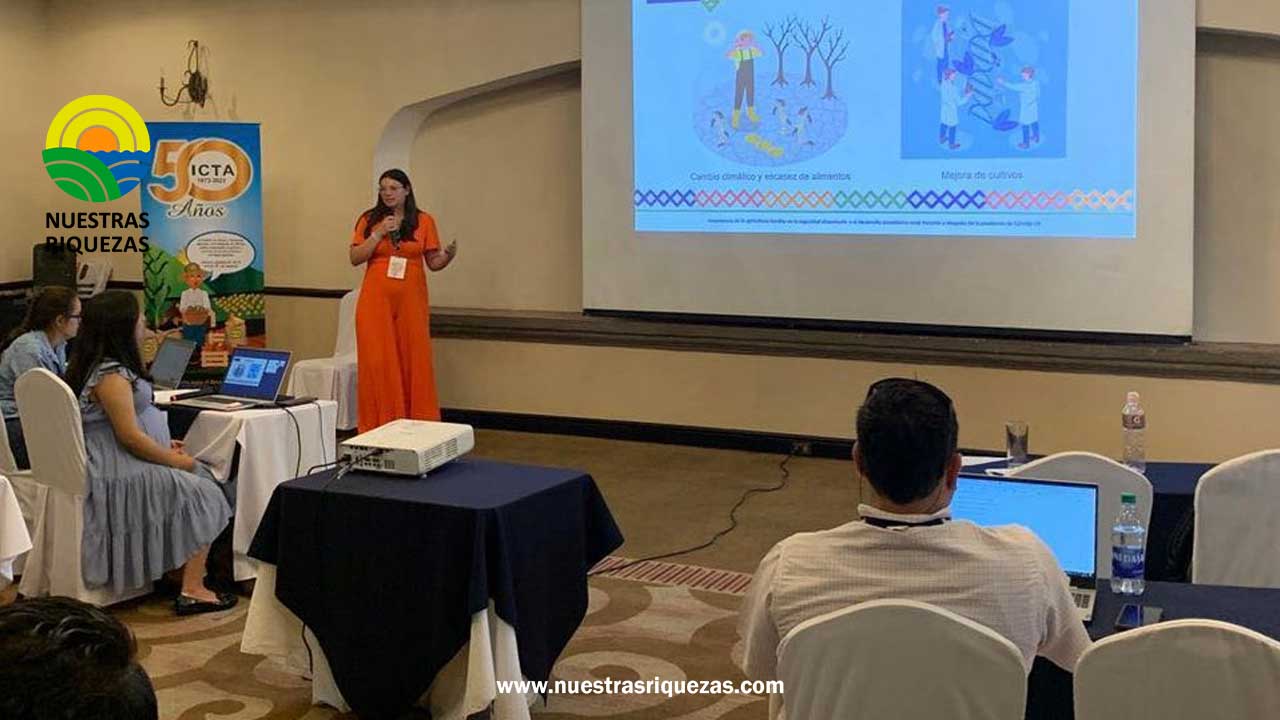 Costa Rica albergará próxima reunión del Programa Cooperativo Centroamericano para el Mejoramiento de Cultivos y Animales, PCCMCA, que se realizará el próximo año.