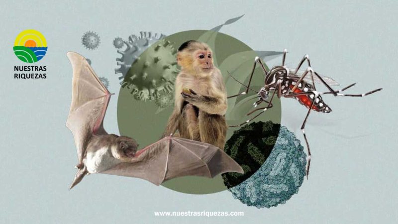 Día Mundial de la Zoonosis