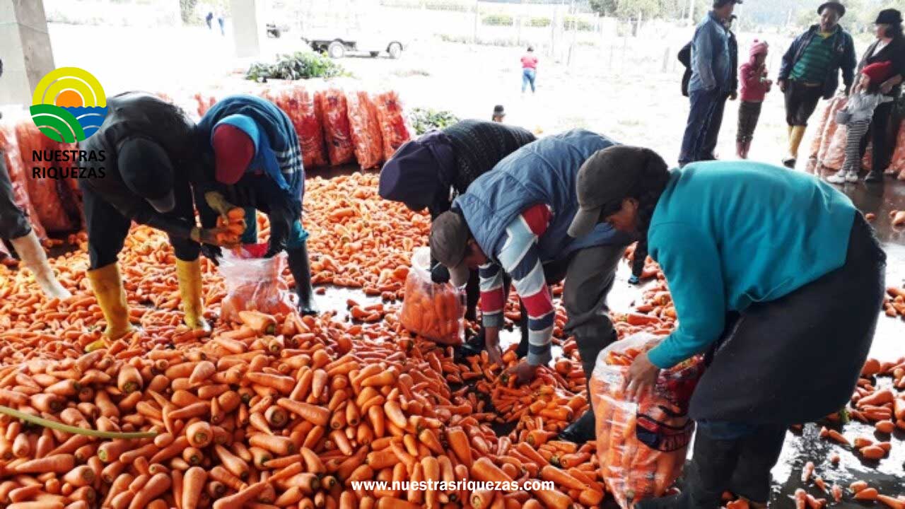 Ecuador: Encuesta de Seguridad Alimentaria y Alimentación evidencia aumento de inseguridad alimentaria, con mayores impactos en la ruralidad y las mujeres