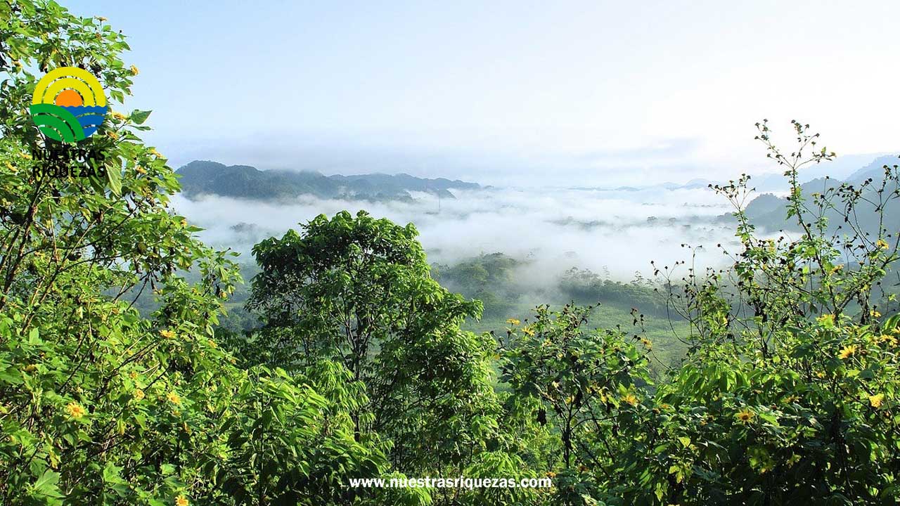 Ecuador carbon forum promueve la descarbonización y la financiación de proyectos verdes.