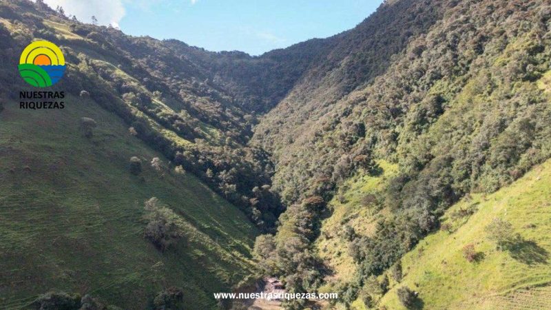 Ecuador declara 3,675 hectáreas de Pimampiro como área protegida