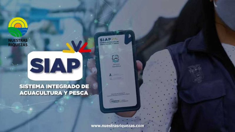 Ecuador implementa el Sistema Integrado de Acuacultura y Pesca (SIAP) para combatir la pesca ilegal