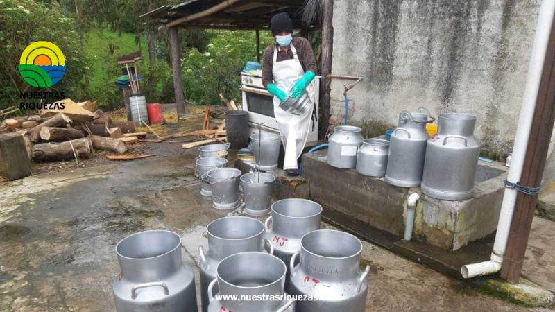 Espera en Ecuador por reglamento para fijación del precio de la leche mientras productores se movilizan”