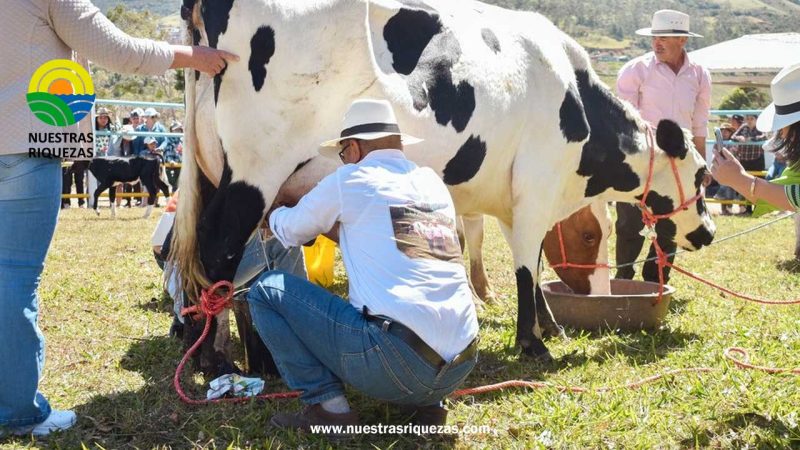 Éxito en la XVII Expo Feria Ganadera, Agrícola y de Emprendimiento San Pedro Apóstol Celica 2023