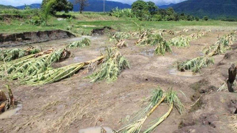 Fenómeno del Niño, sequía y agricultura sostenible