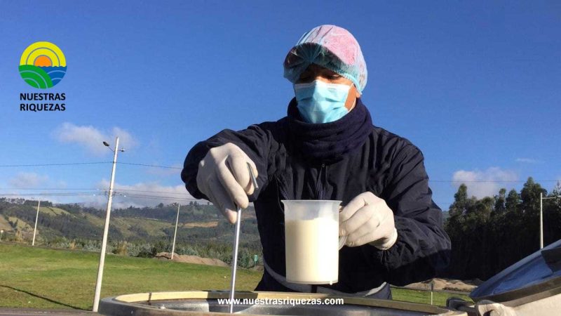 Gobierno inicia operativos para verificar calidad de la leche y combatir el contrabando