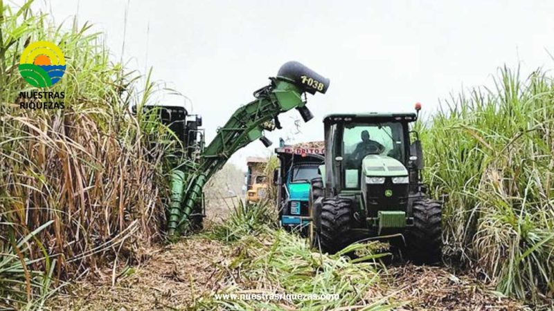 Importaciones de azúcar blanca en Ecuador se mantienen para paliar la falta de producción