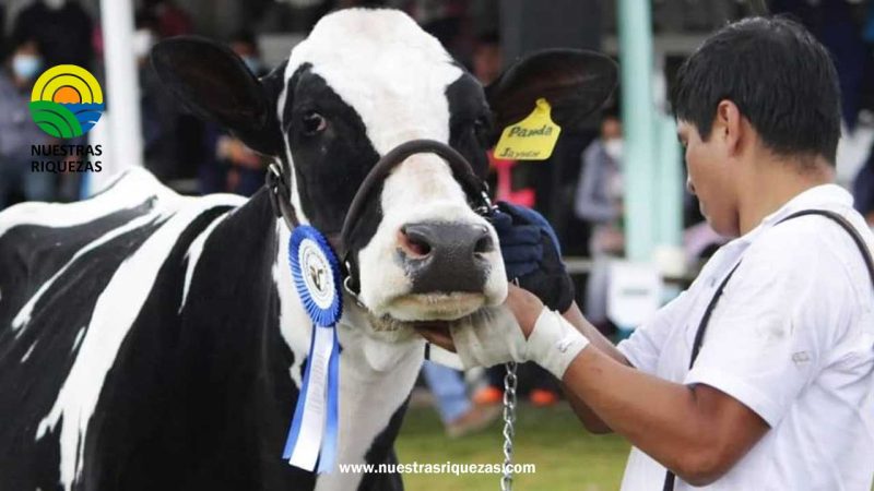 Inician actividades de la LXI Feria Fongal Cajamarca 2023 “Ramón Narro” en Perú