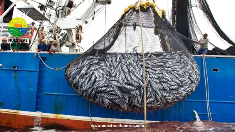 Ecuador a la vanguardia en sostenibilidad atunera