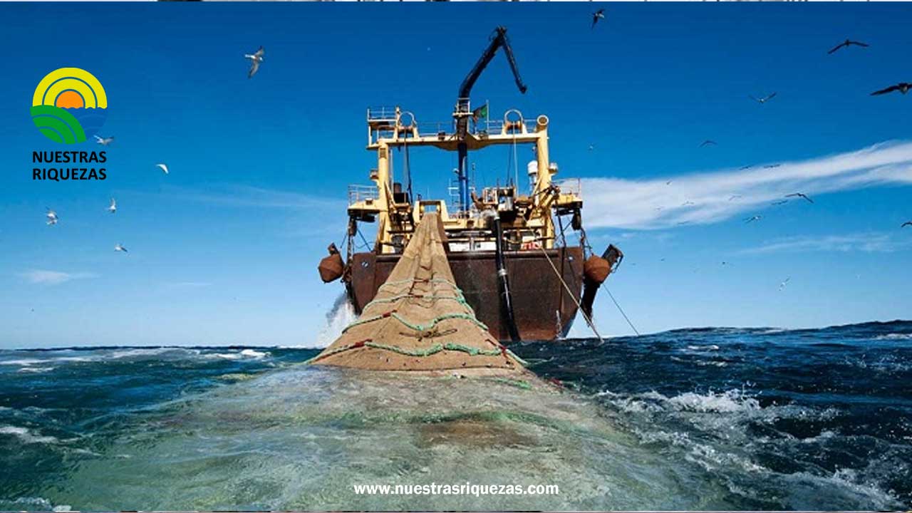 Innovador robot submarino para detectar pesca ilegal