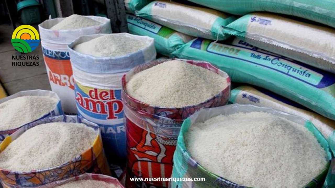 Ministerio de Agricultura y Ganadería desmiente restricciones para la venta de arroz