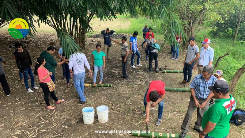 Programa EbA LAC organiza taller sobre multiplicación de bambúes en Manabí