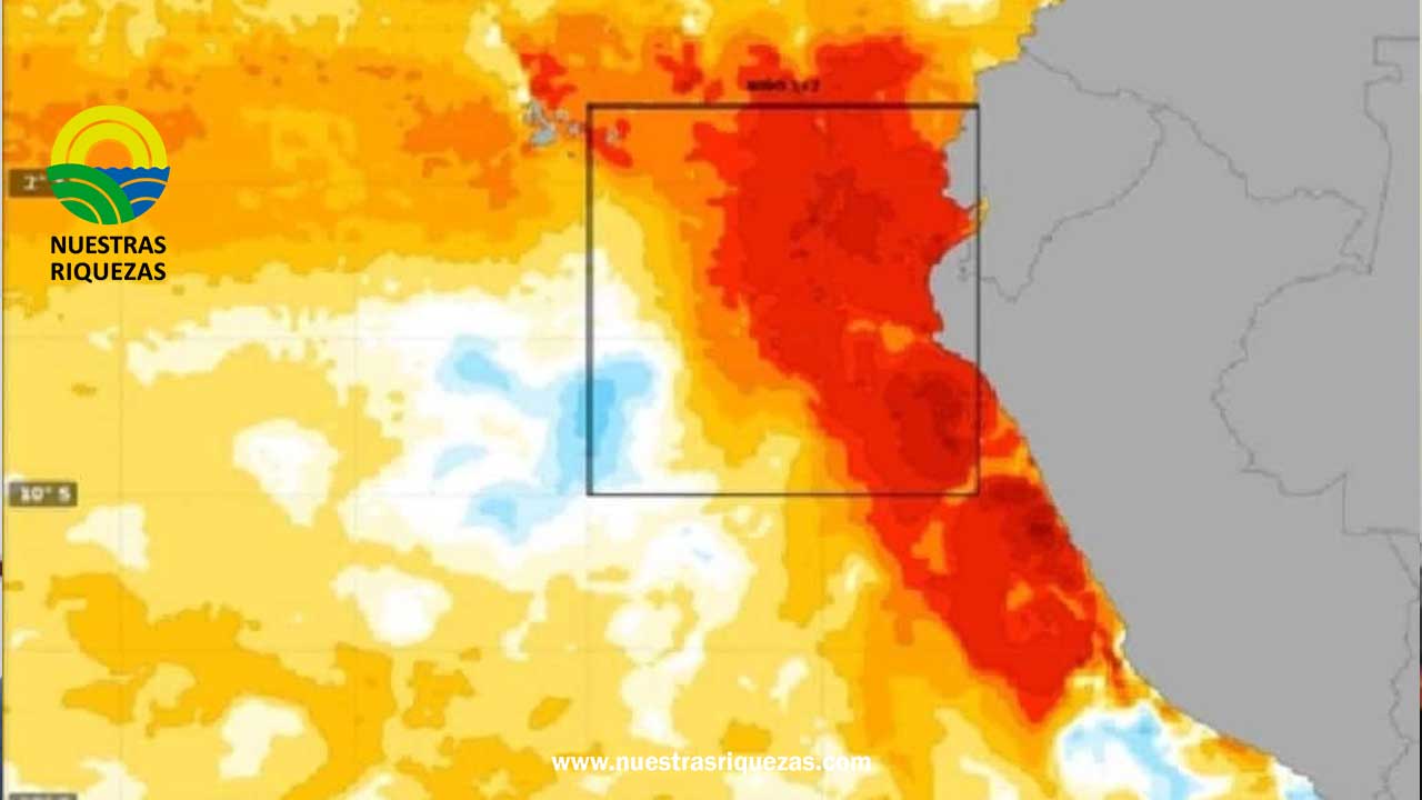 Se pronostican lluvias intensas debido al fenómeno de El Niño en Piura
