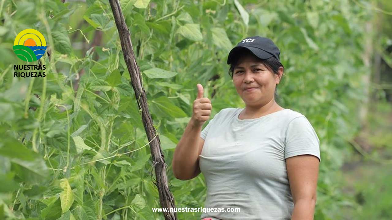 Trabajamos en coordinación con el Instituto Salvadoreño de Transformación Agraria