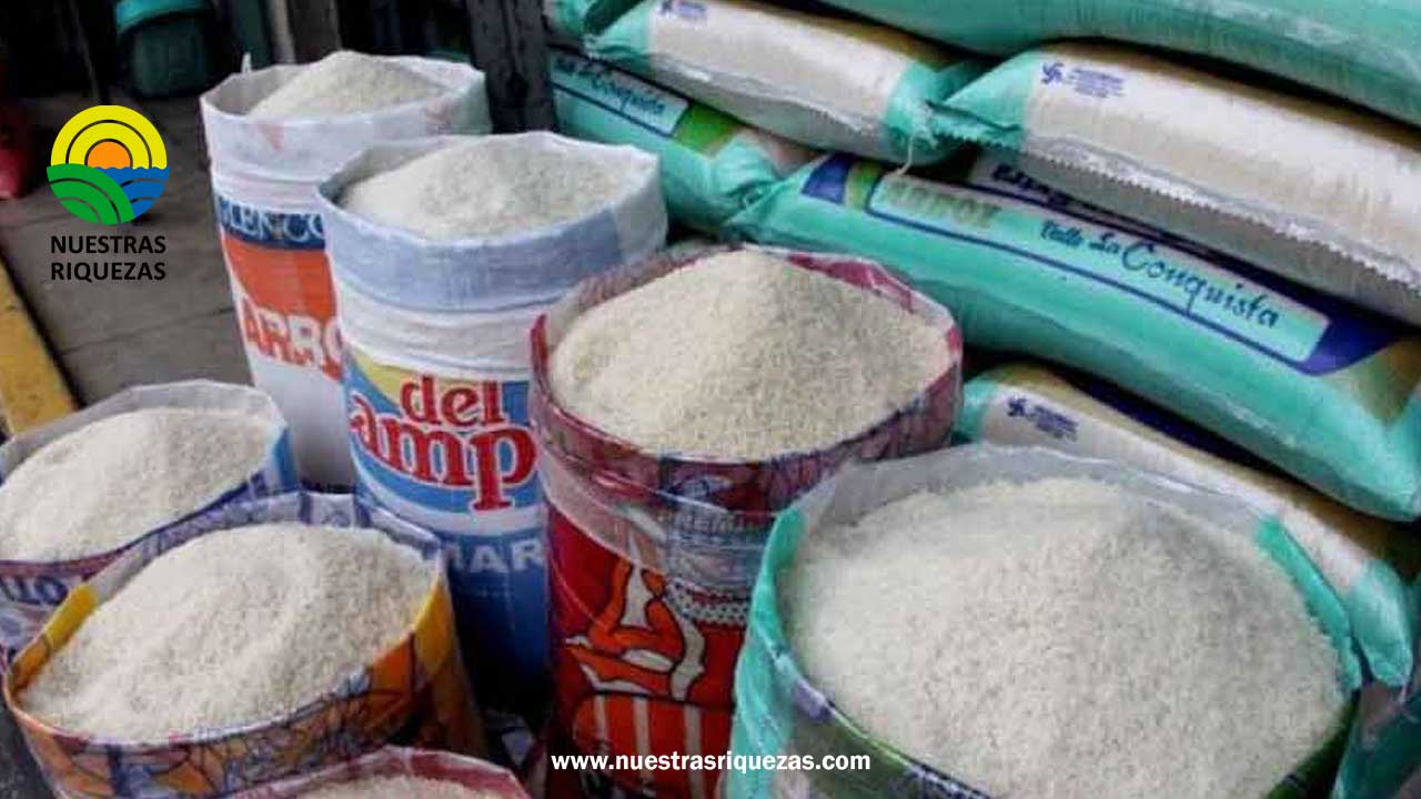 Uruguay busca oportunidades en la importación de arroz a Ecuador