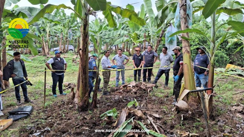 Agricultores de El Oro se benefician con urea subvencionada