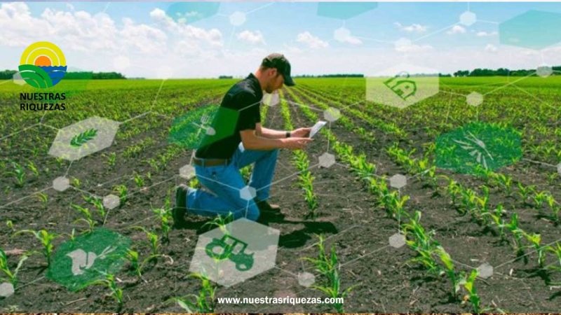 Agricultura 4.0: Midagri Rumbo a la Digitalización del Campo