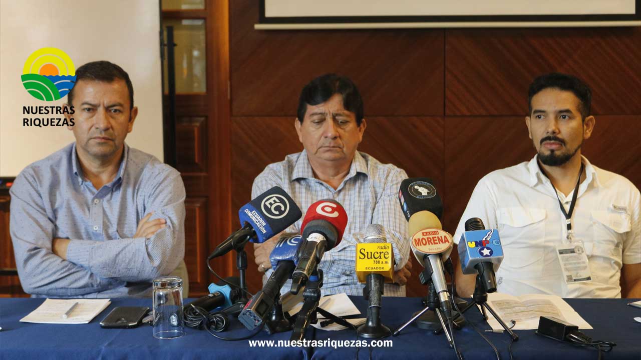 Caída en la producción bananera alarma al sector, agroproductores solicitan la declaración de emergencia