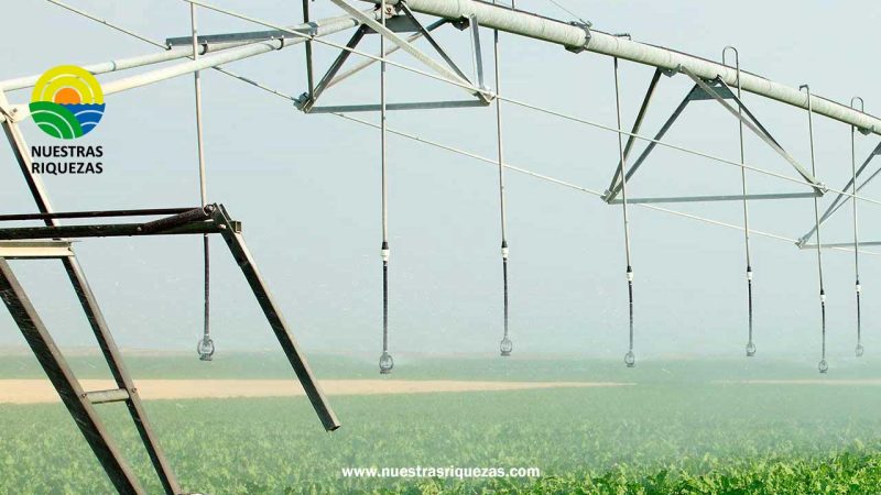 Ecuador apuesta por la innovación: 4 millones de dólares para impulsar soluciones tecnológicas