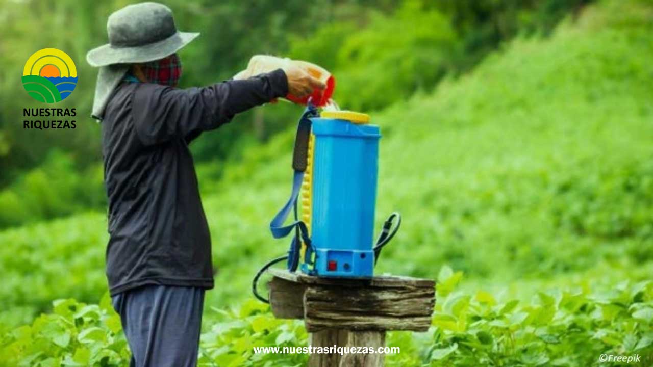 Ecuador busca reducir el uso de plaguicidas obsoletos en la agricultura