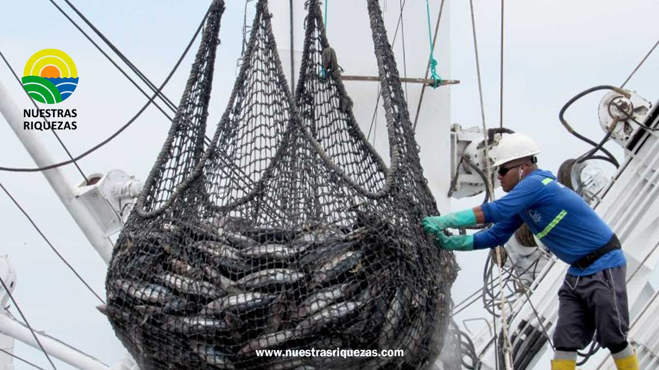 Ecuador obtiene certificación de pesca sostenible en conservación del atún
