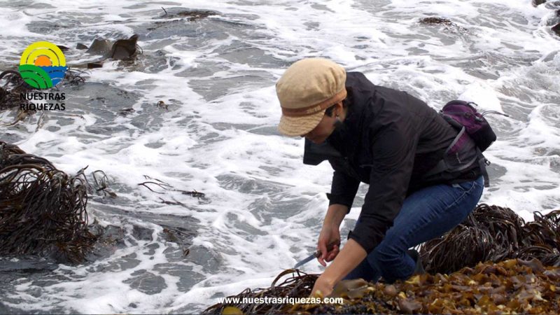 El Centro UC de Estudios Asiáticos (CEA UC) y el Instituto Milenio en Socio-Ecología Costera (Secos)