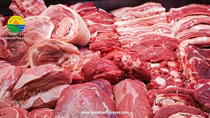 Empresa Alimentos y Consumibles Costa Rica envía 24 toneladas de carne a Cuba