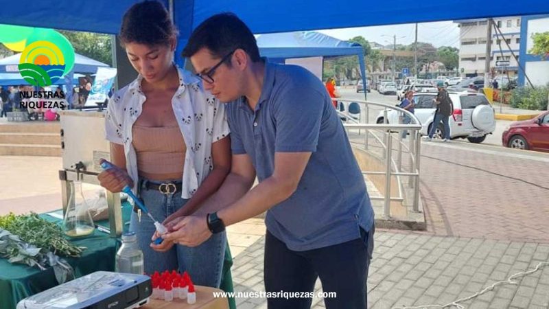 Estudiantes crean ecoherbicida natural para arrozales guayaquileños